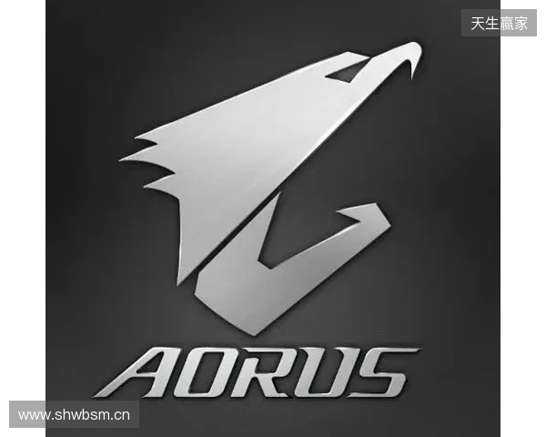 技嘉AORUS与AQ电竞俱乐部续约携手,以专业硬件助力中国电竞再攀高峰